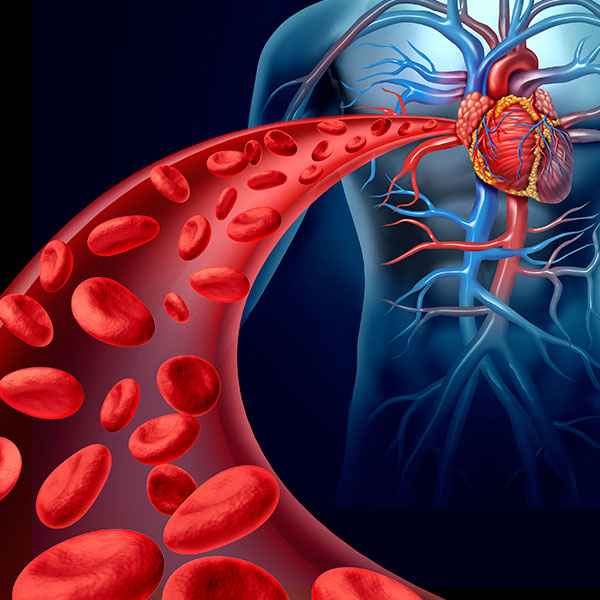 Imagen: Máster internacional en enfermería en úlceras y enfermedad vascular periférica