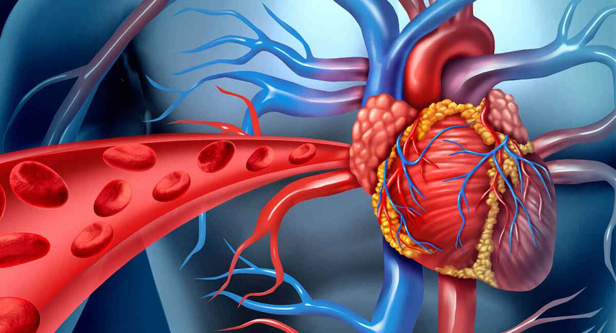 Foto de: Máster internacional en enfermería en úlceras y enfermedad vascular periférica