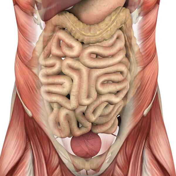 Imagen: Curso internacional en urgencias digestivas. Formación continuada sanitaria