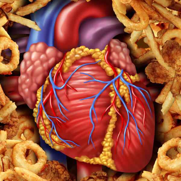 Imagen: Curso internacional en nutrición en las enfermedades cardiovasculares