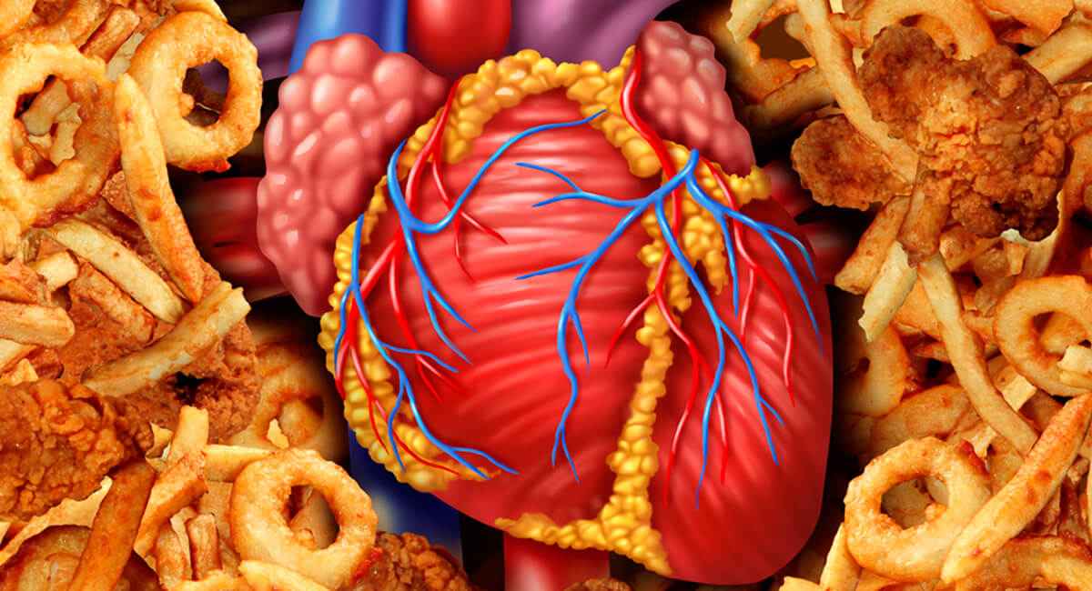 Foto de: Curso internacional en nutrición en las enfermedades cardiovasculares